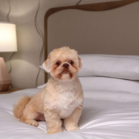 Doubletree By Hilton Hotel And Conference Center Chicago North Shore Skokie Luaran gambar